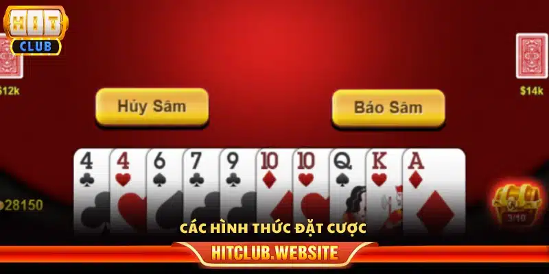 Những loại cược phổ biến trong sâm